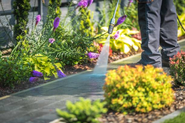 Best Spring Cleaning  in Corsicana, TX