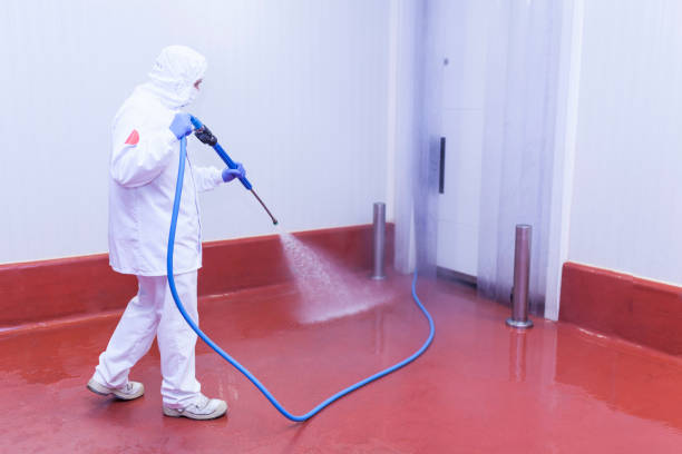  Corsicana, TX Pressure Washing Pros