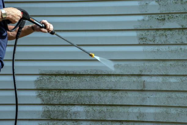 Best Solar Panel Cleaning  in Corsicana, TX